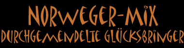 Norweger-Mix -- Durchgemendelte Glücksbringer
